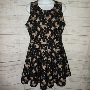Garcia Skater‎ Dress  L Black floral Lace Twirl